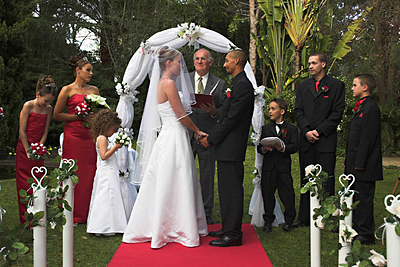 Wedding Photography 101 Tutorials Photo By Neil Mccann M