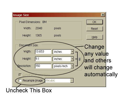 Resizing Pictures to Standard Print Sizes - Tutorials